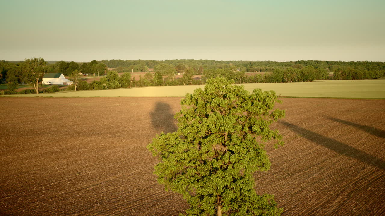 Golden hour drone footage of a Midwest wheatfield in early June.