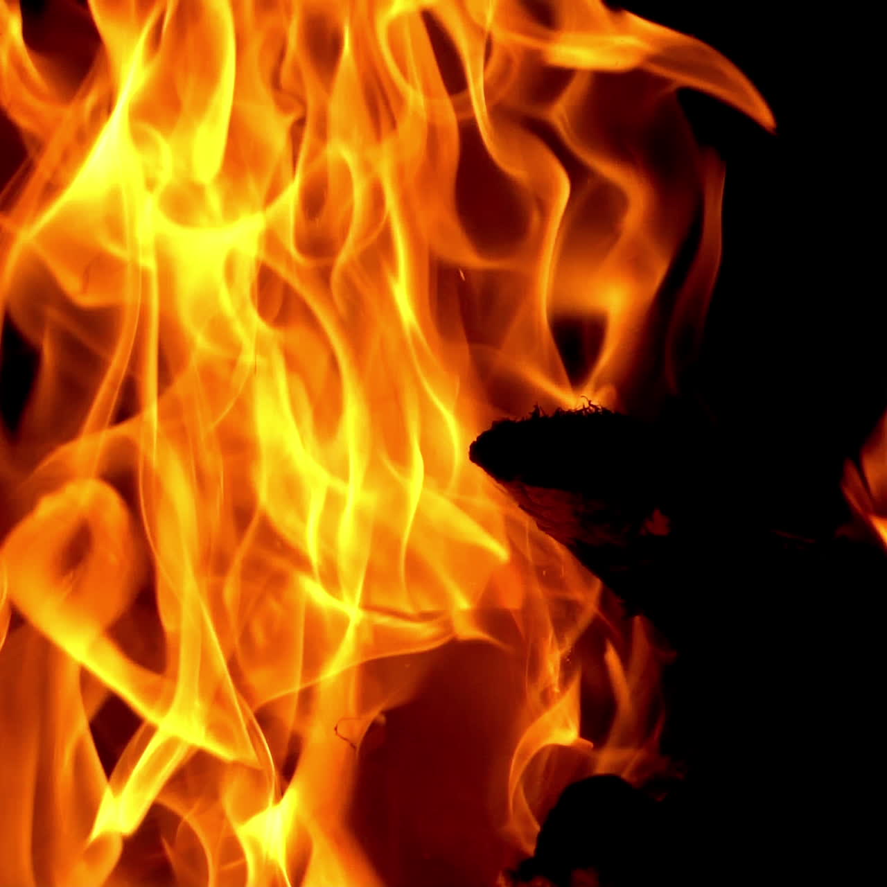 Campfire burning at night. Slow motion of fire at bonfire in the dark, closeup