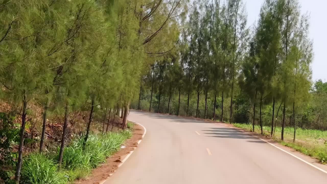 A peaceful journey along a winding road bordered by lush green trees under a clear sky.