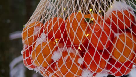 naranjas en una bolsa de red con nieve y luces