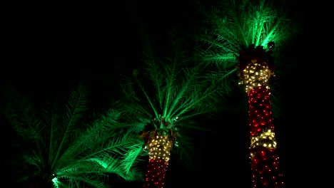 exotic xmas - 3 palm trees colorfully wrapped in string lights to look like candy canes