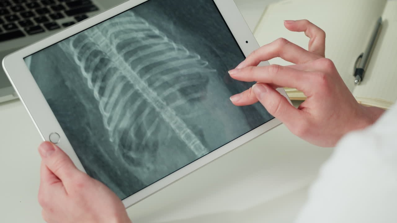 Veterinarian examining animal x-ray on a tablet