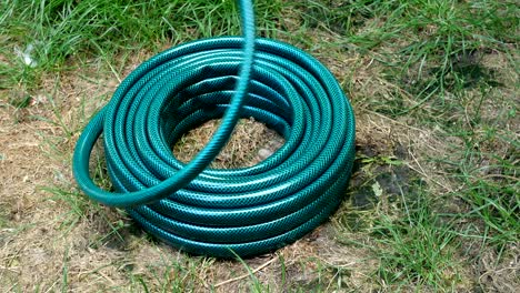 home gardening. new green rubber hose, which lies in the backyard.