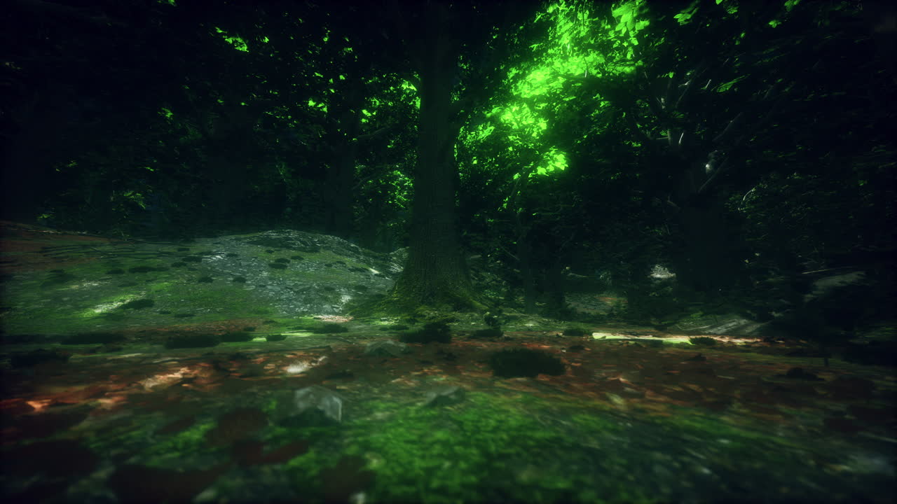 тропические леса в Центральной Америке