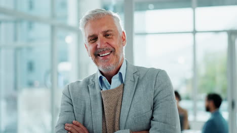 portrait of a smiling senior businessman