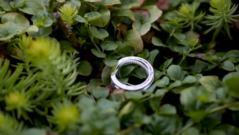 a wedding ring surrounded by lush green plants