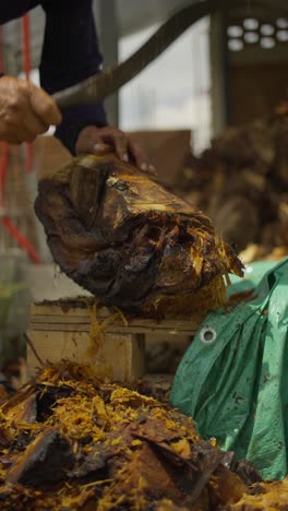 tomada vertical en cámara lenta de un jimador cortando un agave en una fábrica de mezcal en méxico