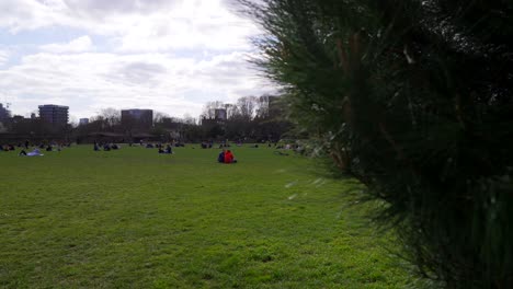 Personas-Reunidas-En-Un-Parque-En-Londres-Durante-La-Pandemia-Del-Coronavirus-Covid-19,-Sin-Respetar-El-Bloqueo,-En-Un-Soleado-Día-De-Primavera