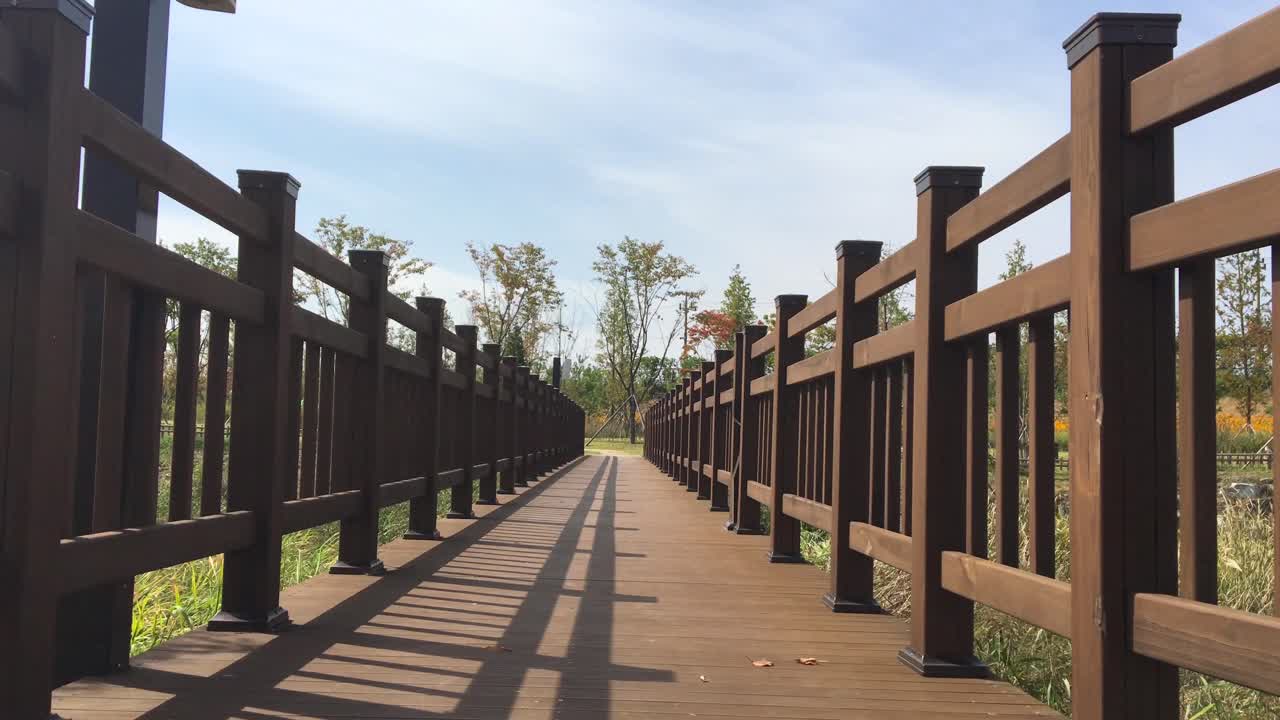 Un ponte di legno in un campo di calamo aromatico a Imjingak, presso la DMZ, con vista sulla Corea del Nord, a Munsan, Paju, Gyeonggi-do, Corea del Sud.