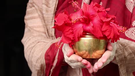 estátua do deus hindu ganesha isolada no jardim com árvore de tulsi para orar durante o dia