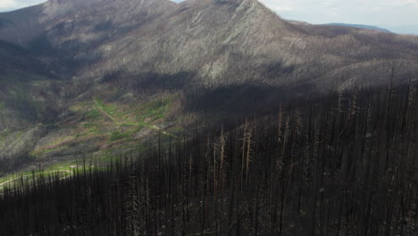 vast terrain shows aftermath of destructive wildfire on mountains, aerial