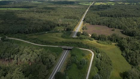 aerial view of a highway through a forest