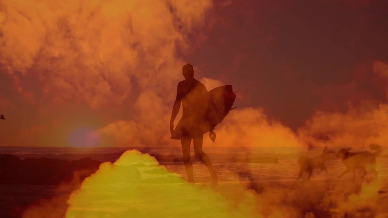 Surfista pisando la orilla al atardecer, llevando una tabla de surf y preparándose para surfear mientras un perro trota