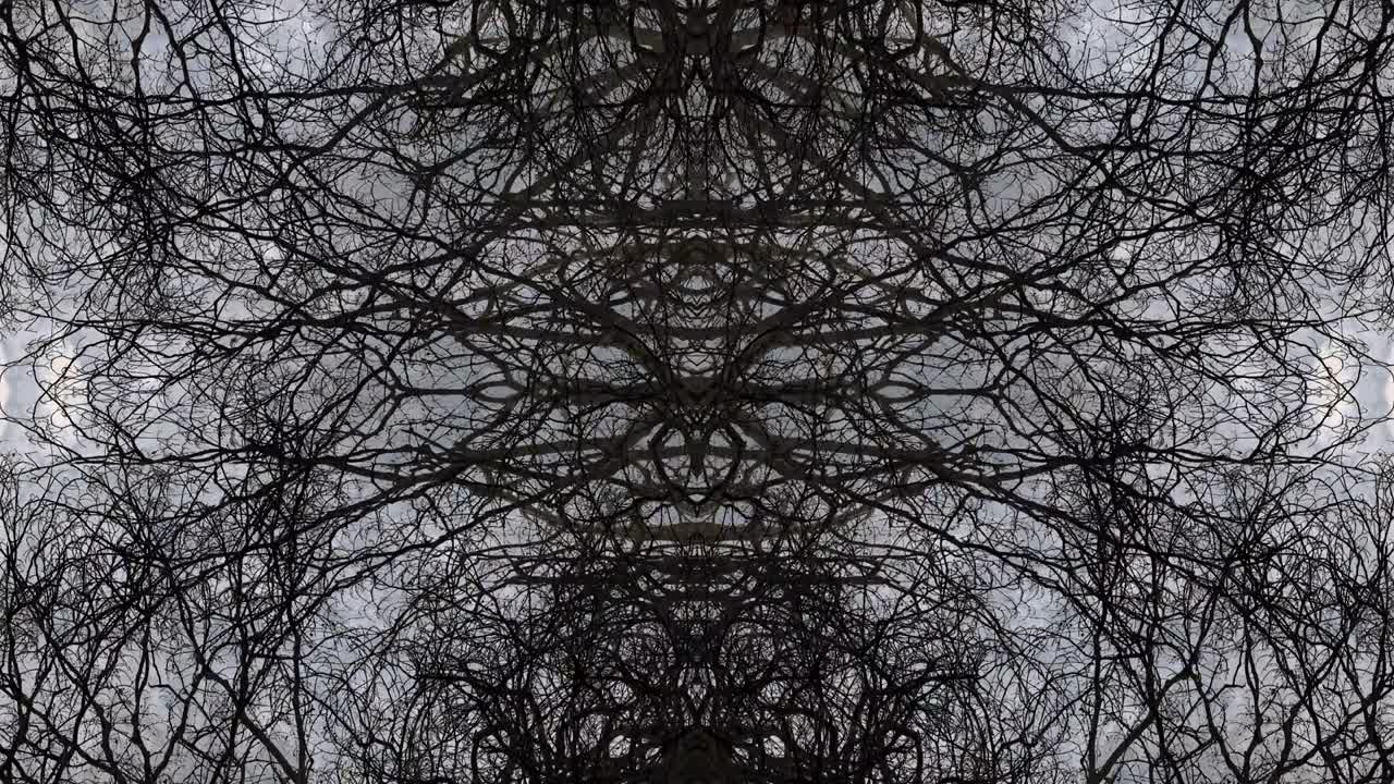 árboles en simetría - en bucle