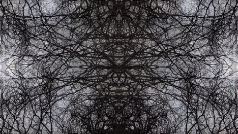 trees in symmetry - loopable