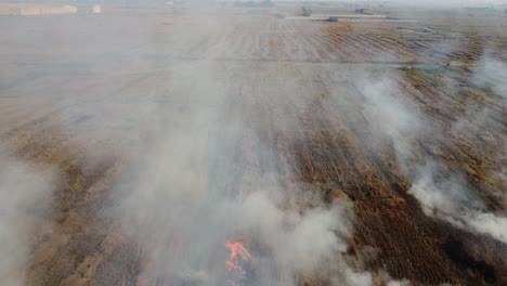 la contaminación del aire