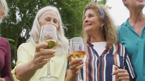 animation of diverse happy senior female and male friends toasting with wine in garden