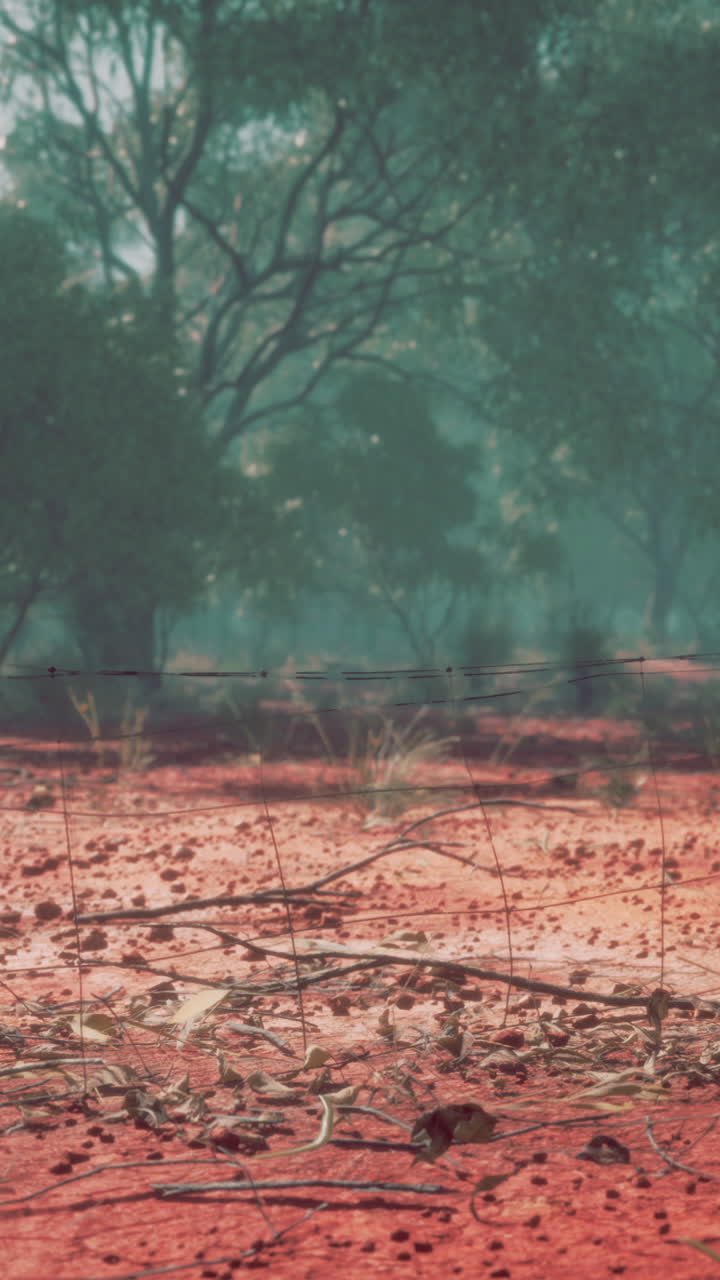 paisaje de tierra roja en el interior