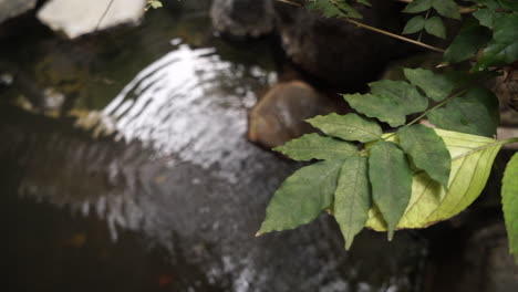 Japanisches-Traditionelles-Spa.-Onsen