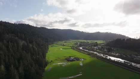 Drone-shot-panning-to-the-right-revealing-the-entrance-of-redwood-national-park