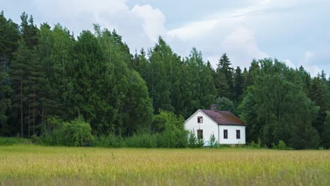 abandoned house on the edge of the field