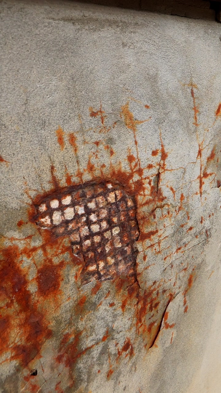 Vertical close-up of a cracked exterior wall with corrosion stains and exposed reinforcement mesh, showing moisture damage, surface failure, and neglected structural deterioration.