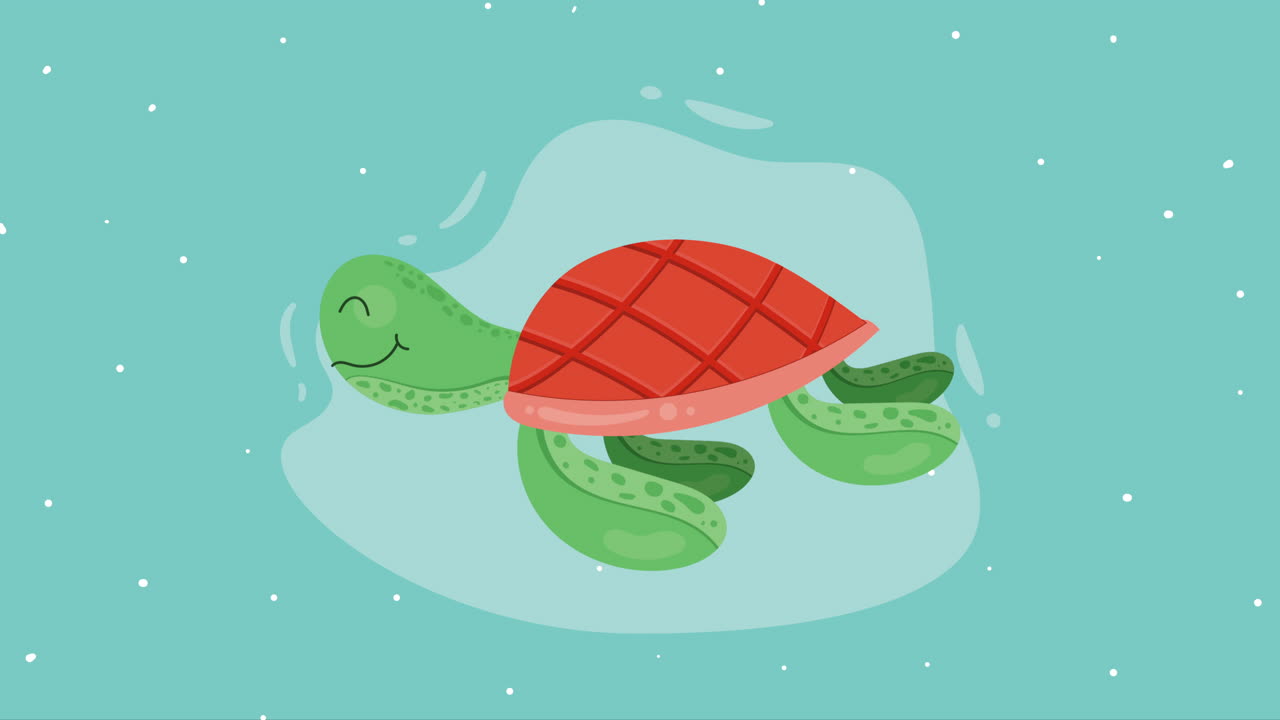 cute turtle animal character animation
