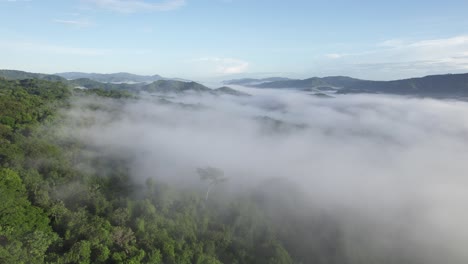 green forest costa rica jungle with white cloud fog, aerial drone flyover 4k