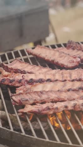 grilled ribs on a bbq