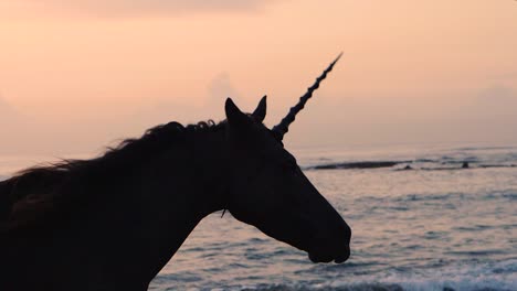 Silhouette-Eines-Fabelwesens-Mit-Spiralförmigem-Horn,-Das-Am-Strand-Galoppiert,-Zeitlupe