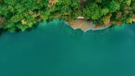 Schöne-Aussicht-Auf-Einen-Kleinen-See-Und-Bäume,-Die-Sich-Im-See-Spiegeln