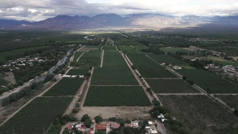 cafayate vineyards aerial view of argentina famous wine production region, green valley landscape and scenic andean cordillera background, salta