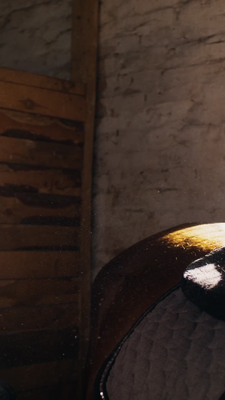 Woman caring for a horse in a stable