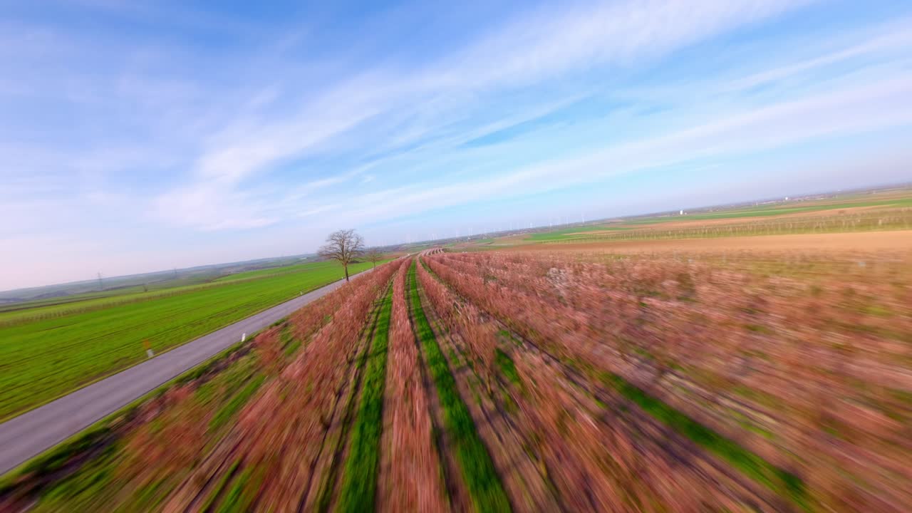 jardines de albaricoques en flor durante el invierno al amanecer en la granja