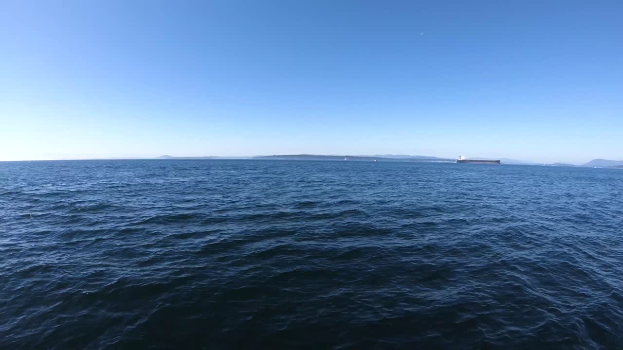 태평양의 푸른 바다를 항해하다