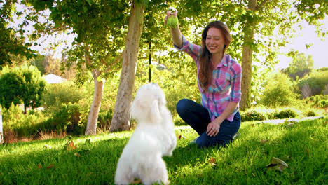 Frau-Spielt-Mit-Weißem-Hund-Im-Park