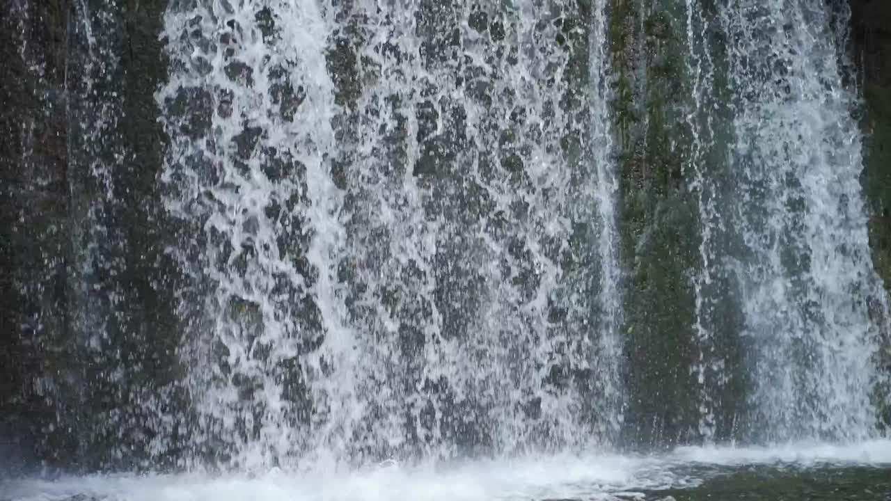 Close up of water flowing over a waterfall nestled deep in a Milton, Ontario forest in summer in slow motion