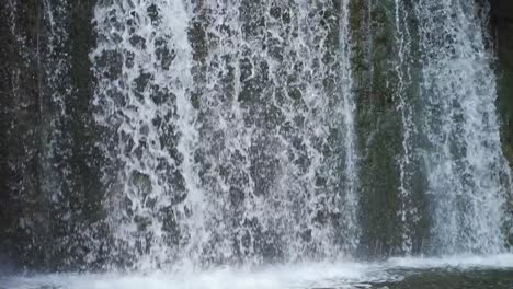 close up of water flowing over a waterfall nestled deep in a milton, ontario forest in summer in slow motion