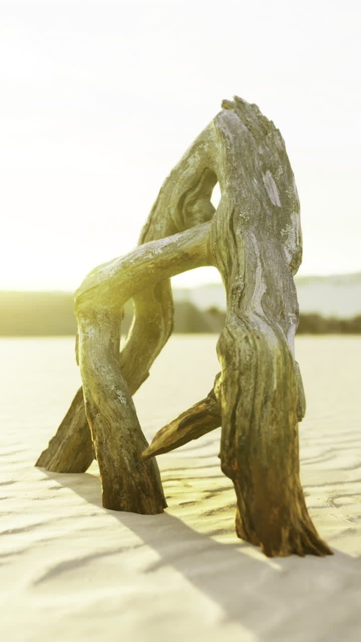 Skulptur af drivtømmer står stolt på solbeskinnet strand under golden hour