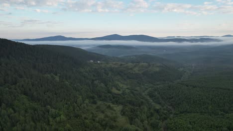 vista aérea escénico bosque de niebla