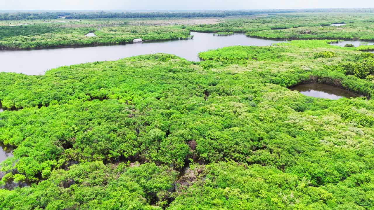 Island Climate, Wetlands Environment, Remote Exotic Earth, Aerial View