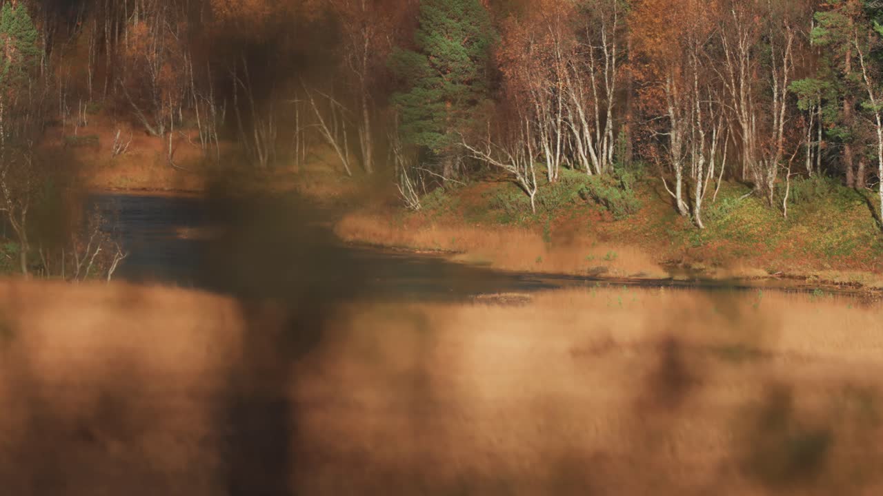 The shallow river flows through the swampy wetland in the Norwegian tundra