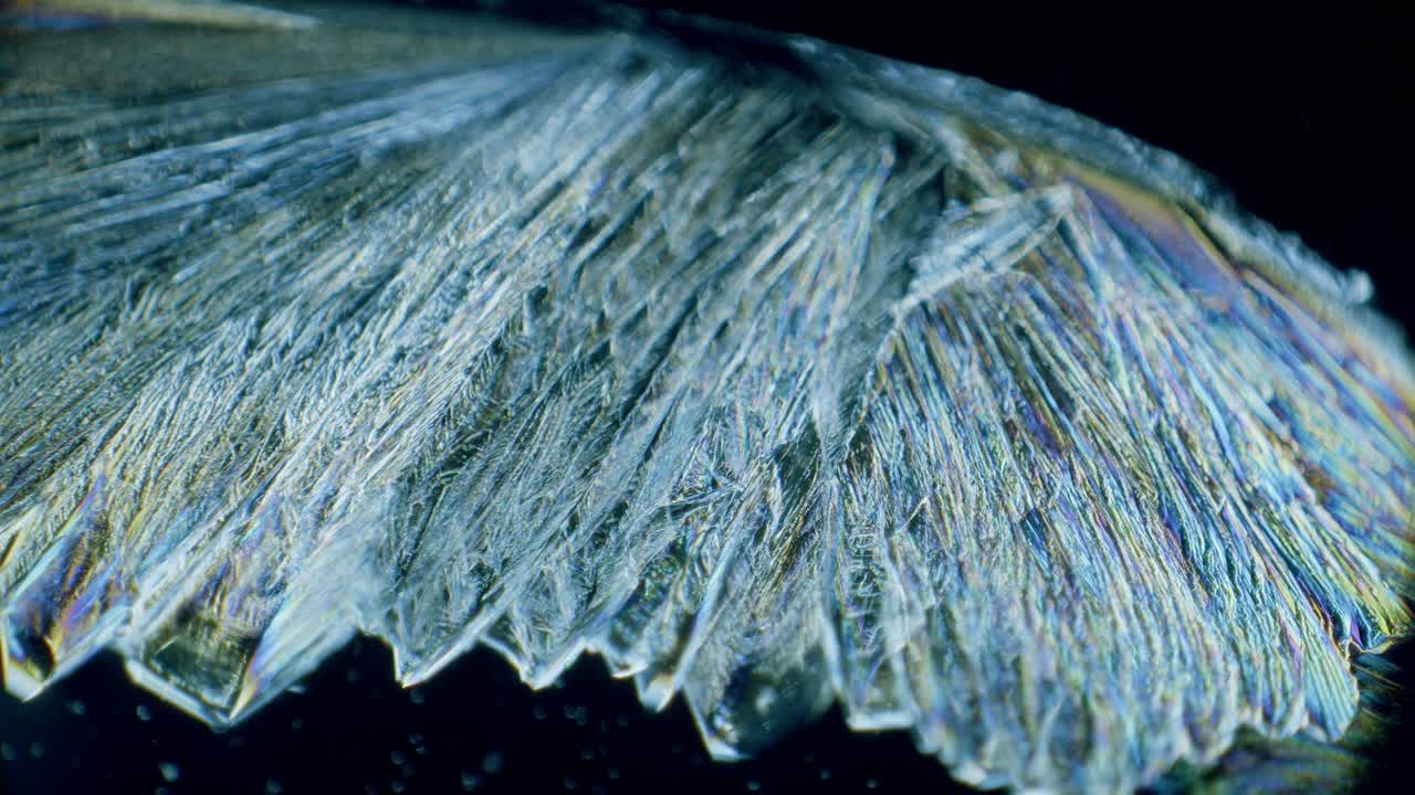 Copper sulphate crystals growing under microscope in polarized light