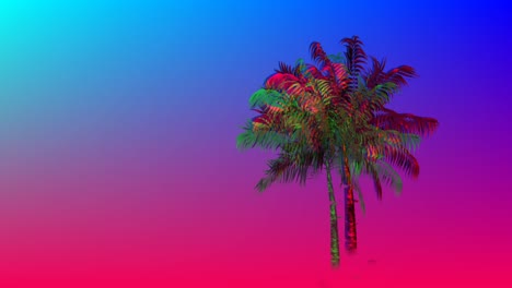 colorful palm tree 4k