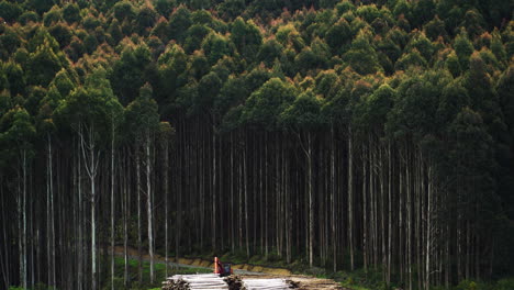 Deforestation-area