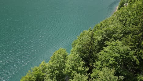 calm ripples in klontalersee lake adorned with alpine tree shoreline