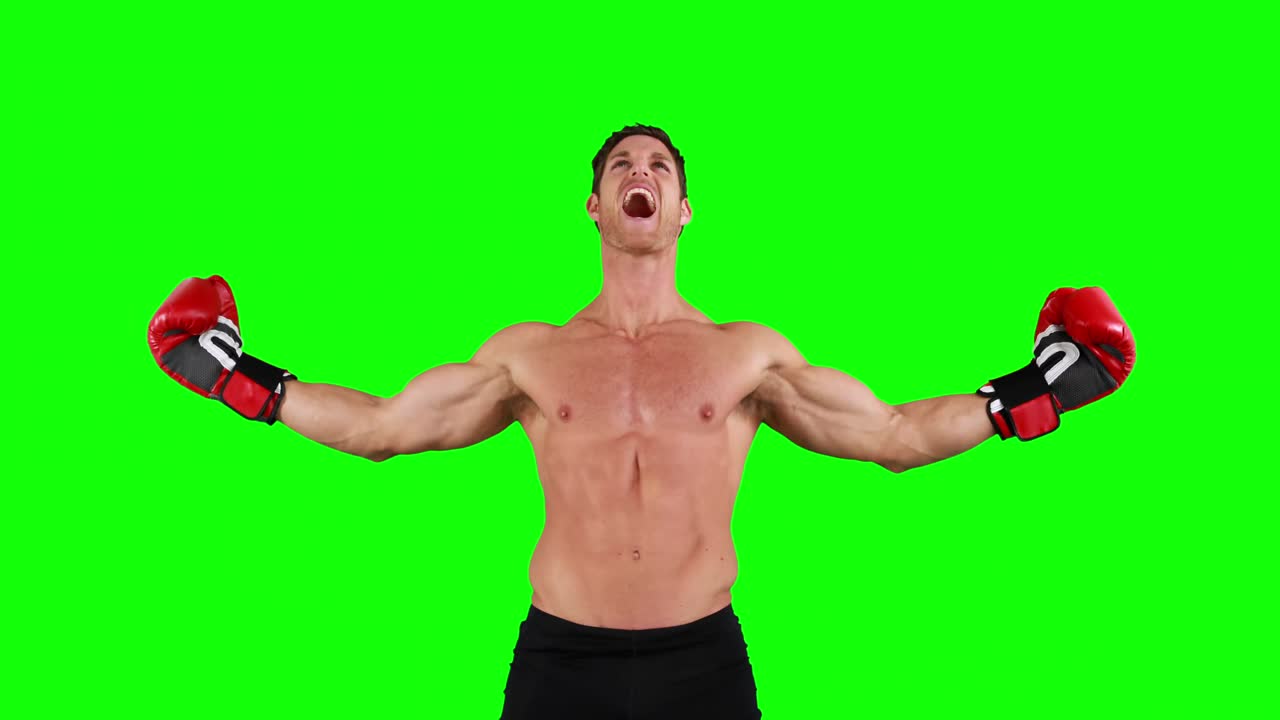 초록색 배경에 장갑을 쓴 화난 권투 선수