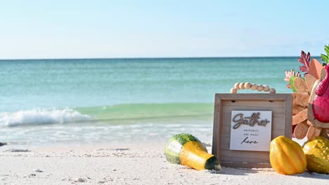 Thanksgiving-Turkey-on-the-beach-with-white-and-clear-water-on-a-sunny-day