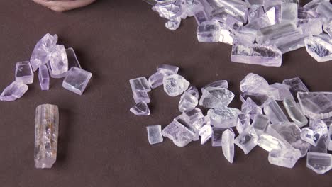 A-gemologist-sorting-through-Spodumene-for-Kunzite,-close-up