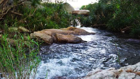 Rushing-stream,-torrent-of-shiny-water-in-lush-tropical-wilderness